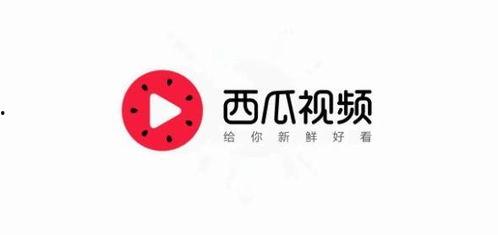头条西瓜视频号,短视频新势力，带你领略精彩瞬间