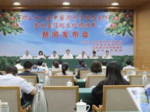 沾化冬枣节新闻头条,共庆丰收喜悦