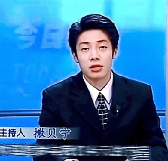 今日说法撒贝宁头条号,揭秘法律背后的故事与智慧