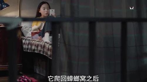 三个男孩爆料视频