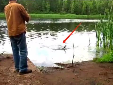 钓鱼爆料视频最新,最新爆料视频带你领略垂钓乐趣与技巧